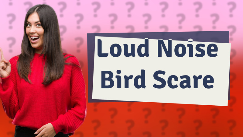 Loud Noise Bird Scare