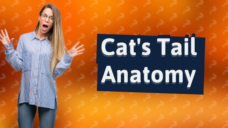 Cat's Tail Anatomy