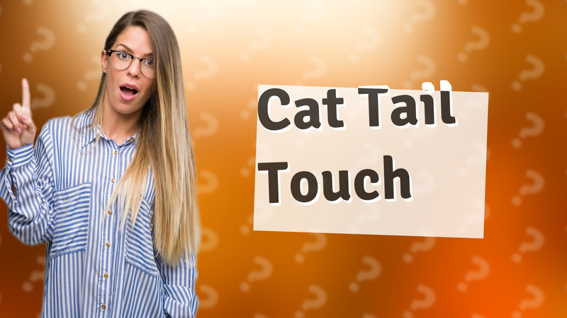 Cat Tail Touch