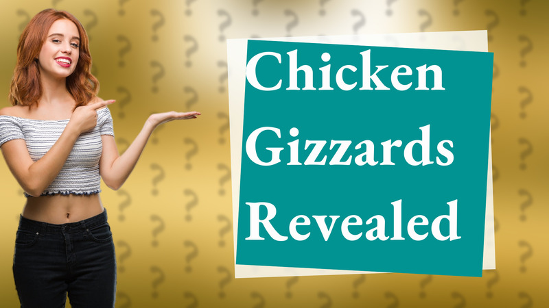Chicken Gizzards Revealed