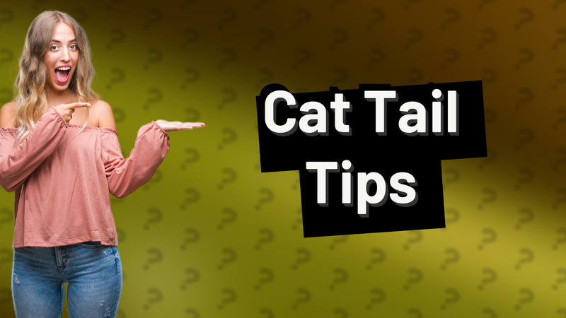 Cat Tail Tips