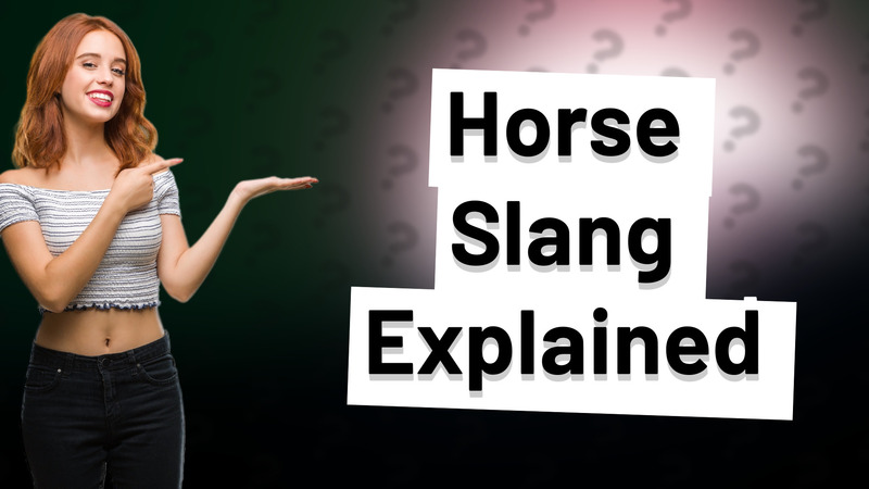 Horse Slang Explained