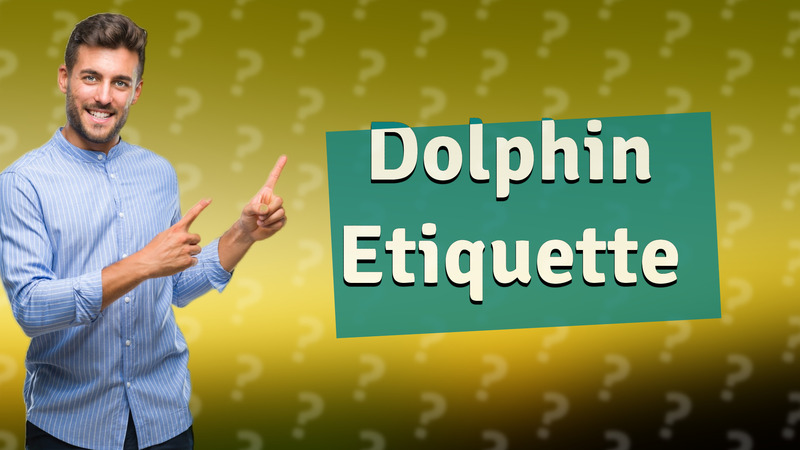 Dolphin Etiquette