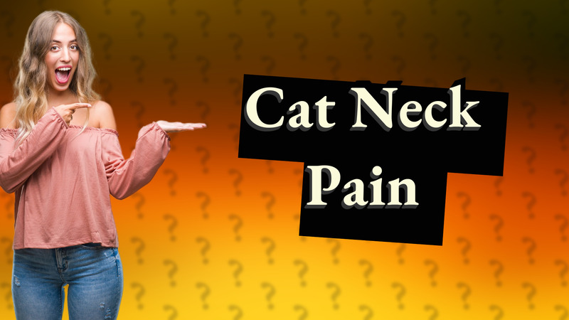 Cat Neck Pain
