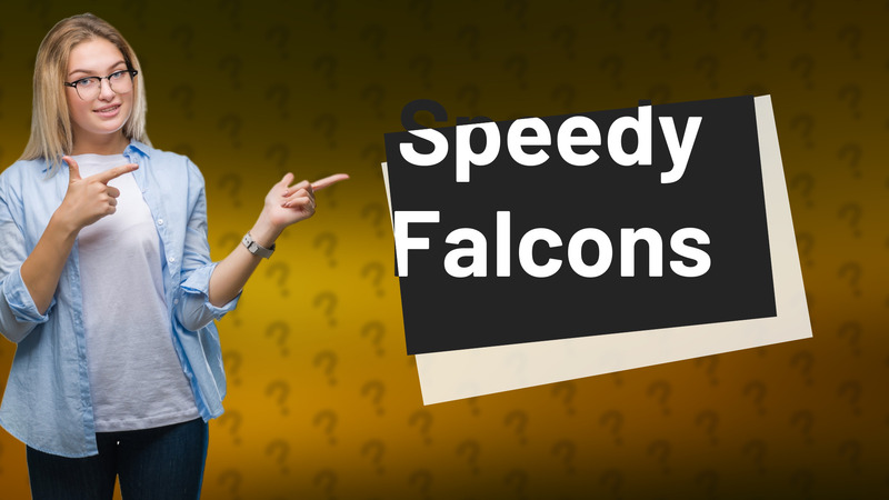 Speedy Falcons
