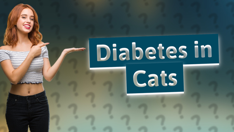 Diabetes in Cats