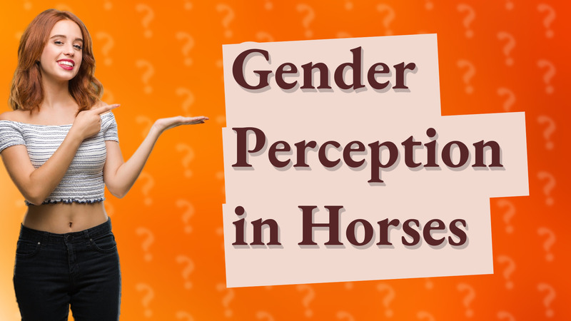 Gender Perception in Horses