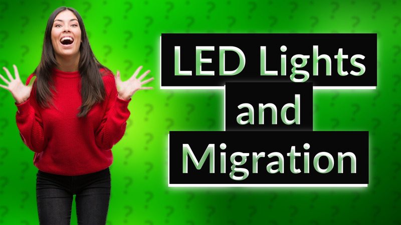 LED Lights and Migration