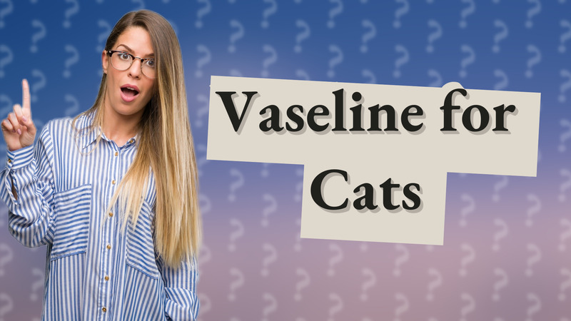 Vaseline for Cats