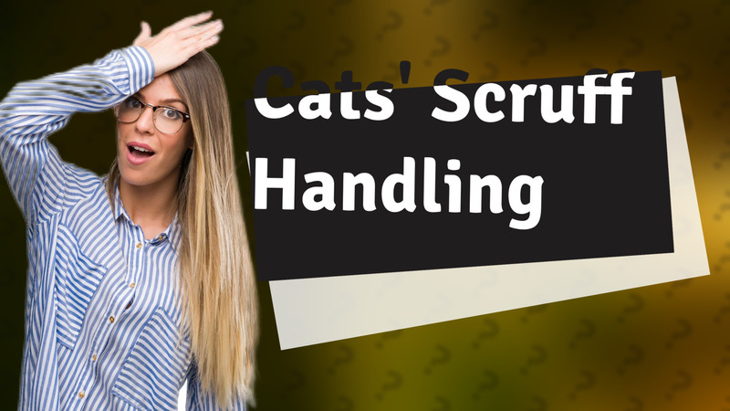 Cats' Scruff Handling