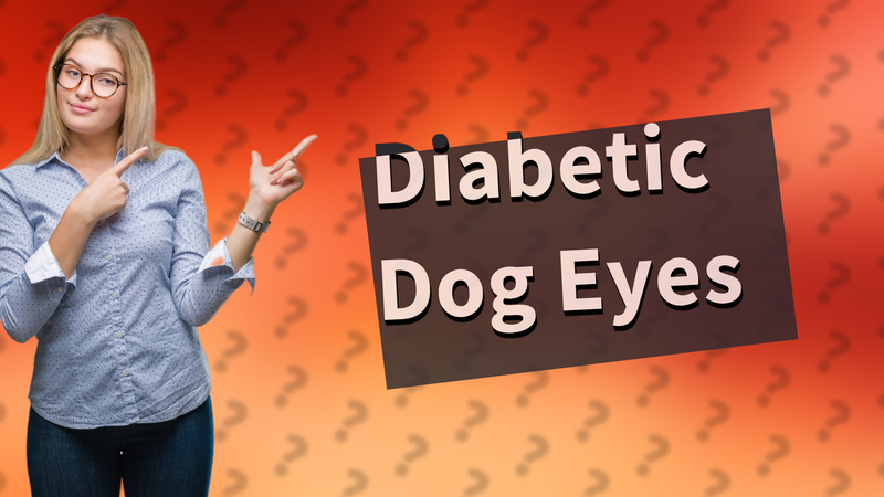 Diabetic Dog Eyes