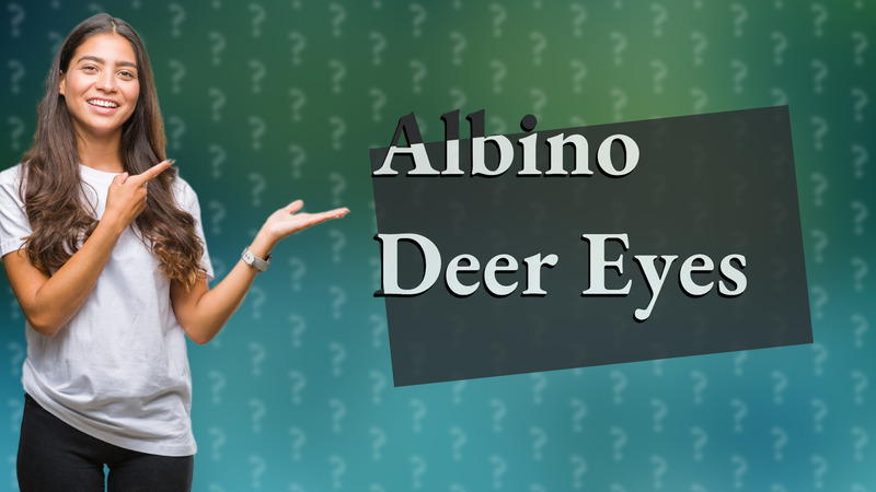 Albino Deer Eyes