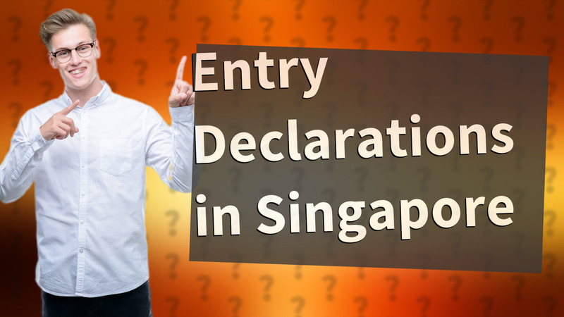 Entry Declarations in Singapore