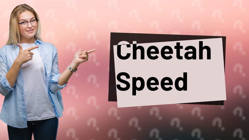 Cheetah Speed