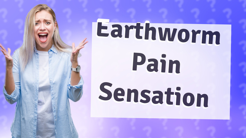 Earthworm Pain Sensation