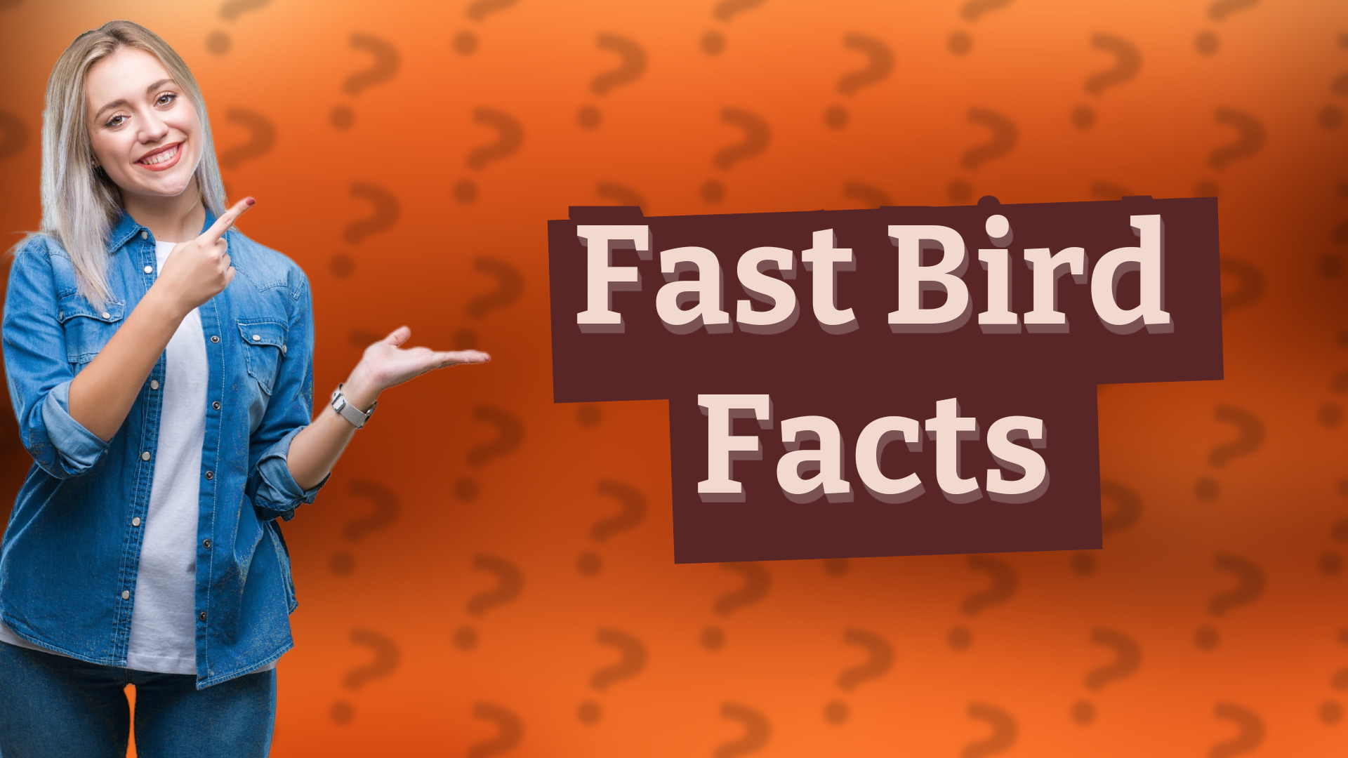 Fast Bird Facts