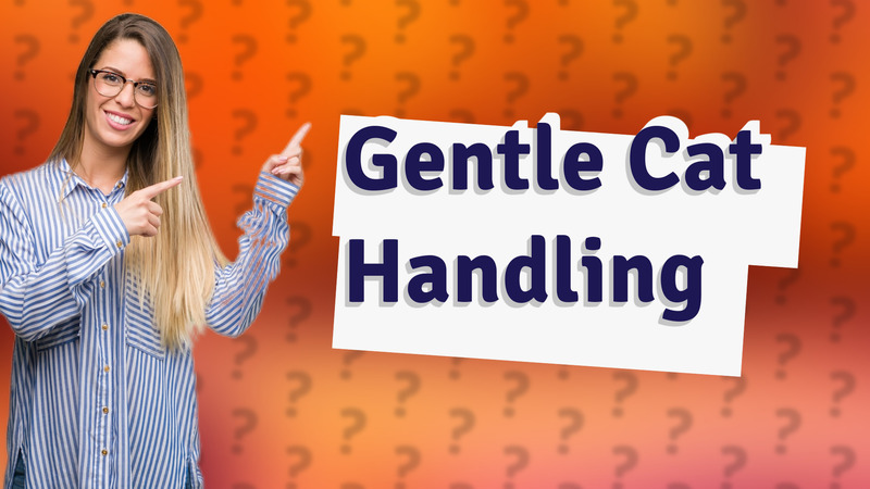 Gentle Cat Handling