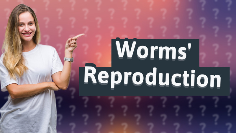 Worms' Reproduction