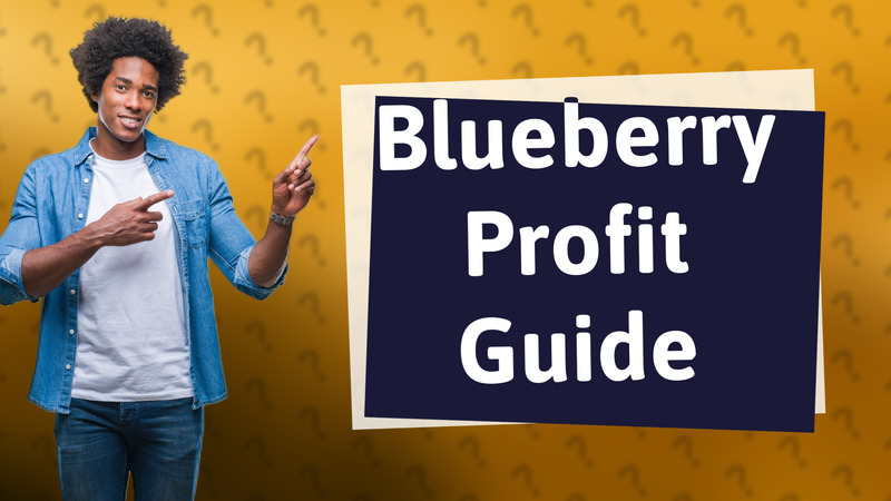 Blueberry Profit Guide
