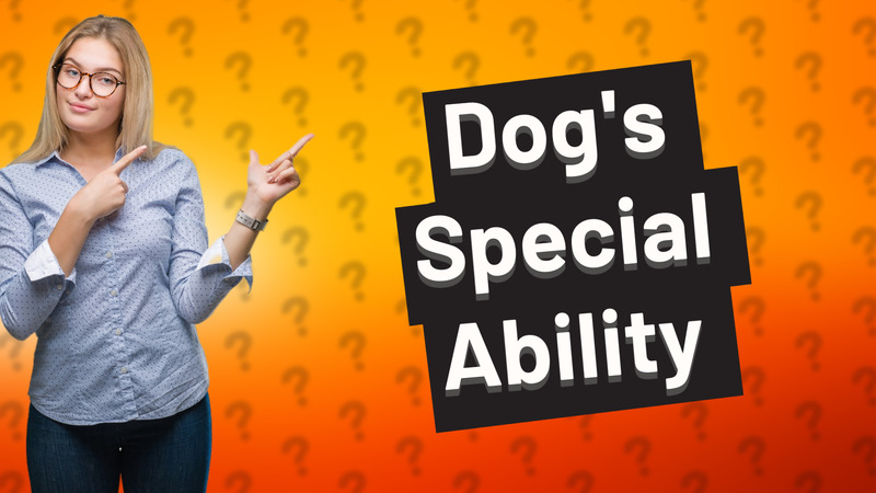 Dog's Special Ability
