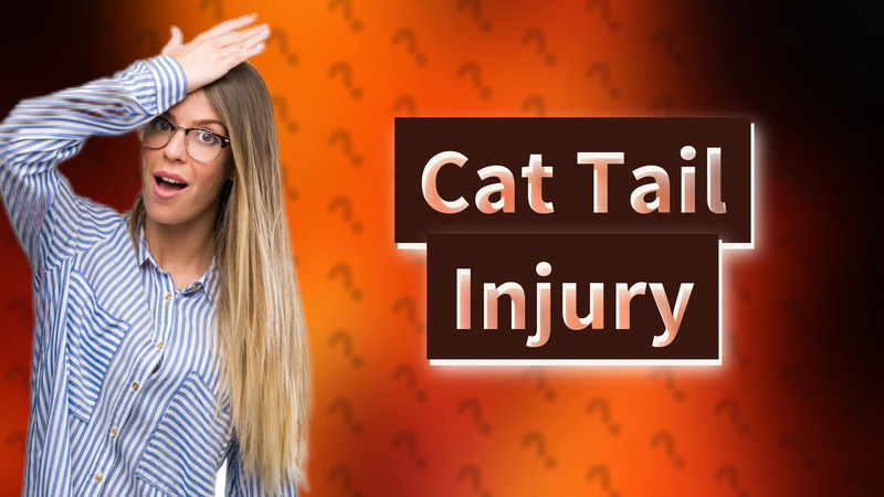 Cat Tail Injury