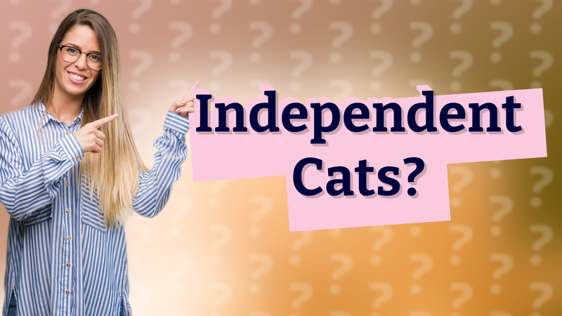 Independent Cats?