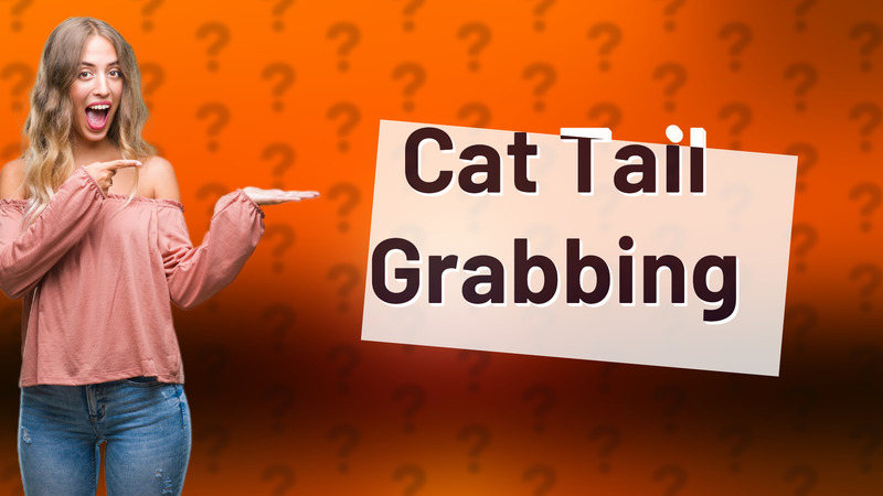 Cat Tail Grabbing