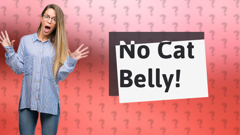 No Cat Belly!