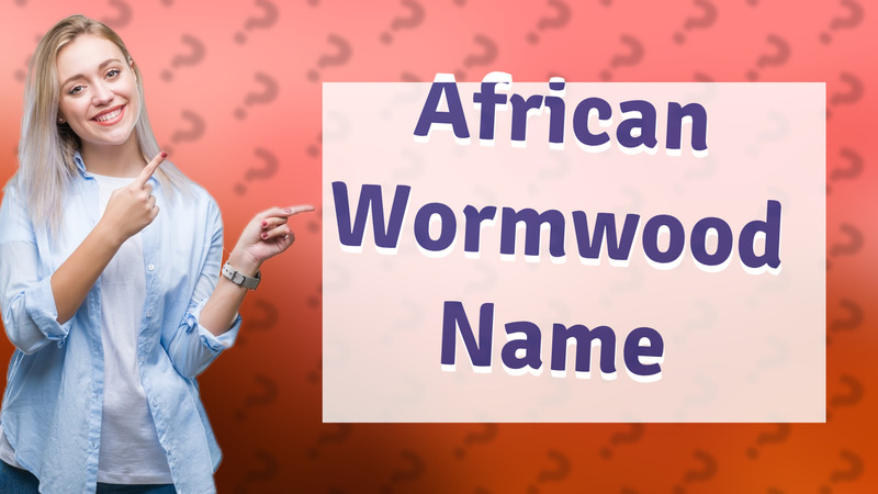 African Wormwood Name