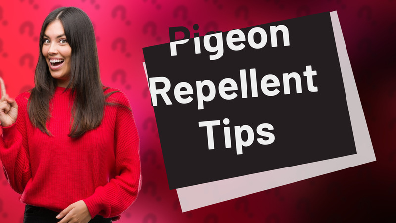 Pigeon Repellent Tips