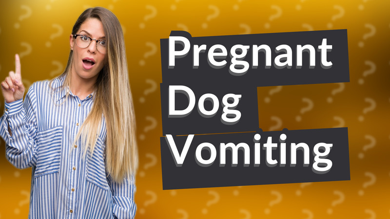 Pregnant Dog Vomiting