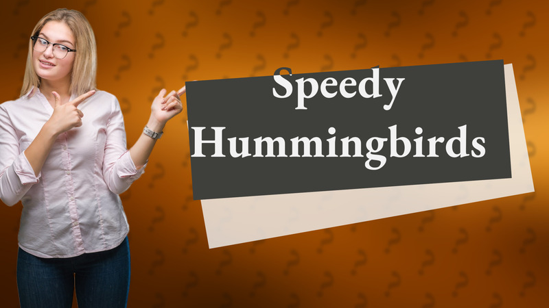 Speedy Hummingbirds