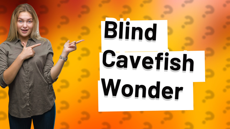 Blind Cavefish Wonder