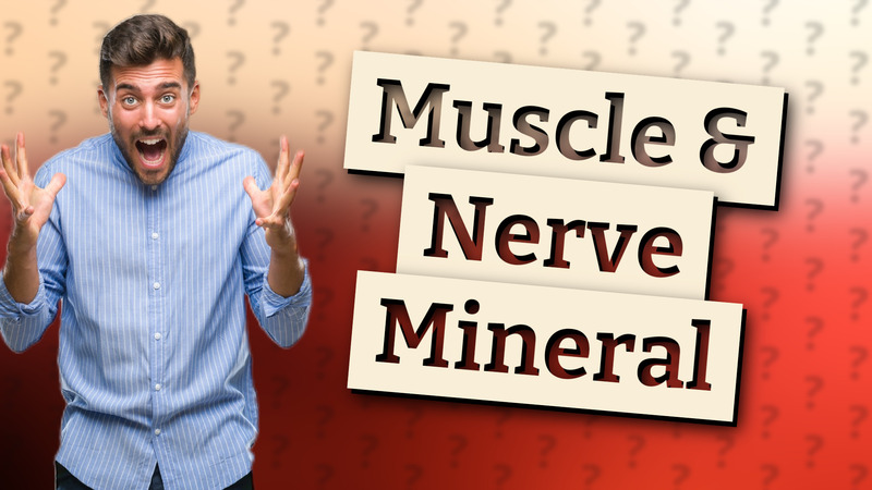 Muscle & Nerve Mineral