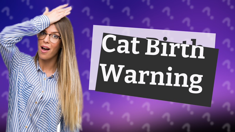 Cat Birth Warning