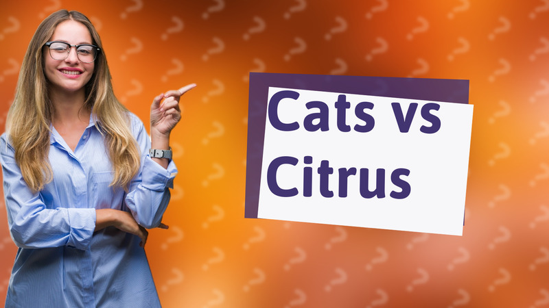 Cats vs Citrus