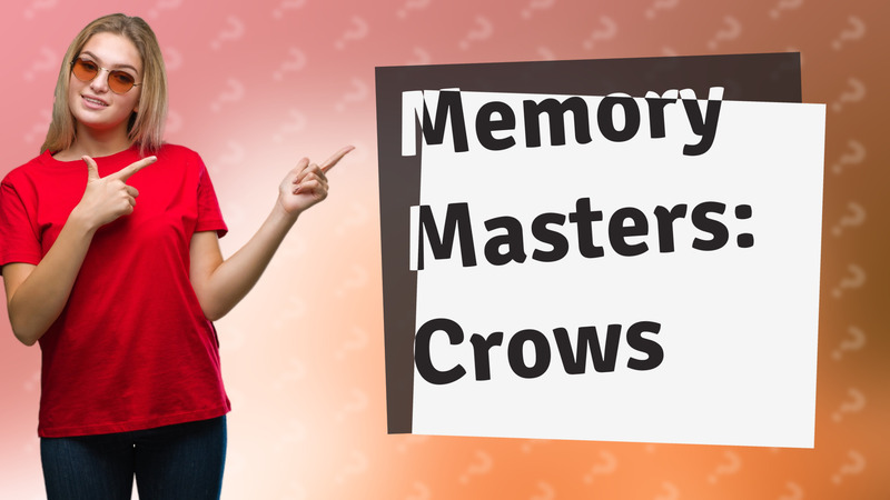 Memory Masters: Crows
