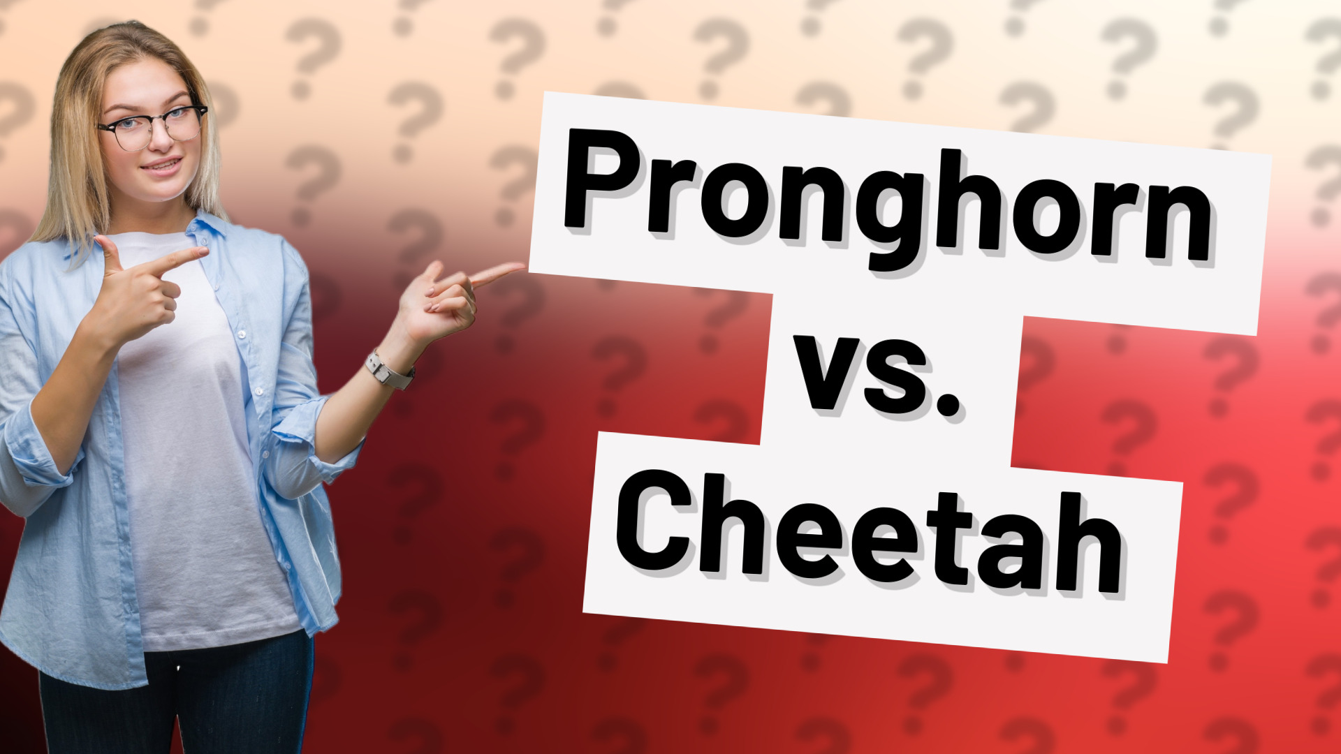 Pronghorn vs. Cheetah