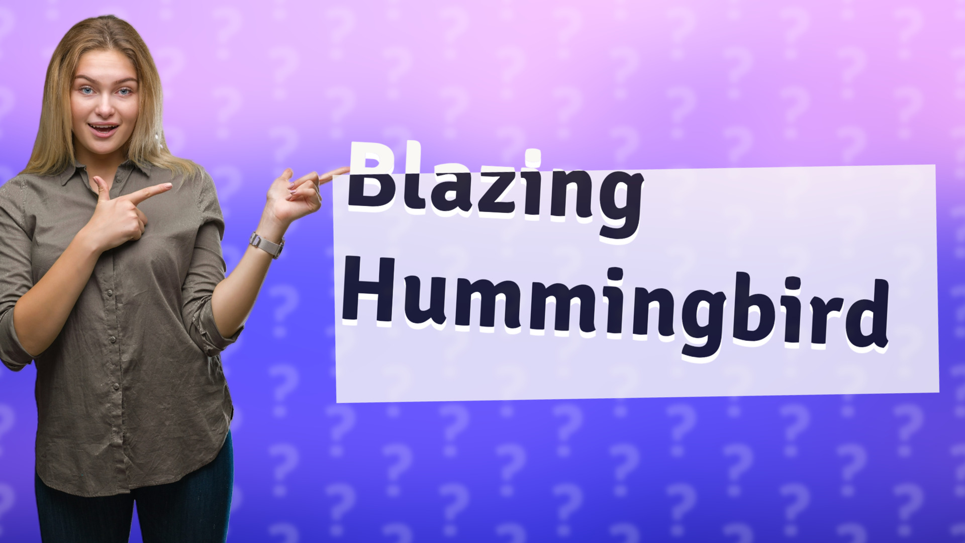 Blazing Hummingbird