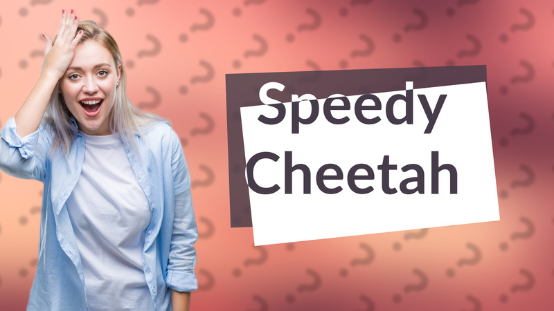 Speedy Cheetah