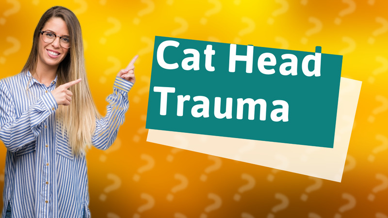 Cat Head Trauma