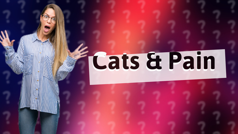 Cats & Pain