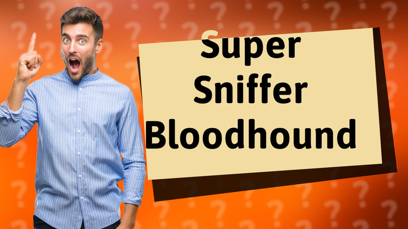 Super Sniffer Bloodhound