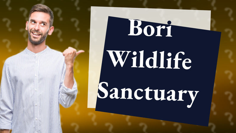 Bori Wildlife Sanctuary