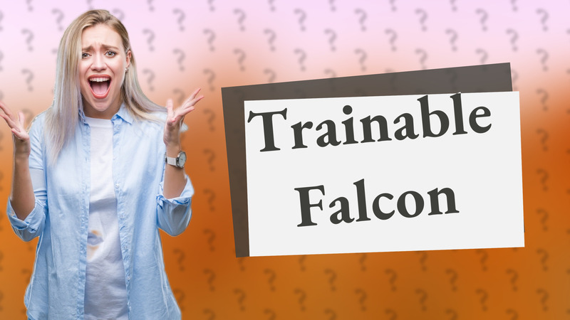 Trainable Falcon