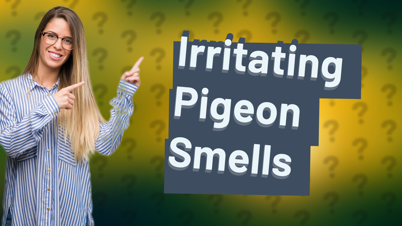 Irritating Pigeon Smells