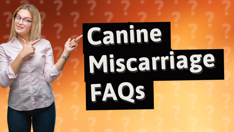 Canine Miscarriage FAQs