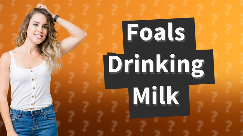 Foals Drinking Milk