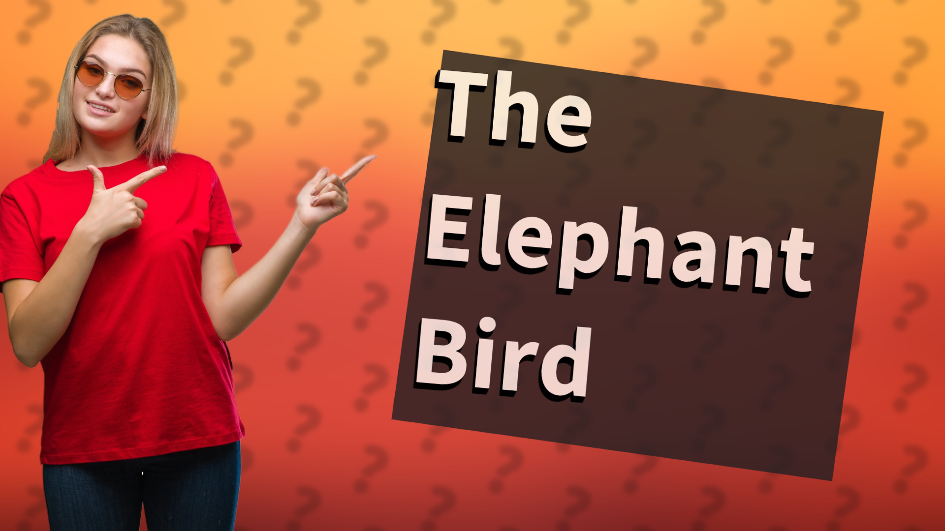 The Elephant Bird