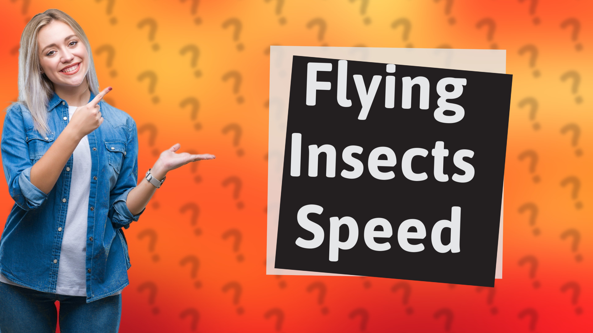 Flying Insects Speed